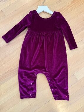 Pink Chicken Velvet Scoop Neck Top in Plum